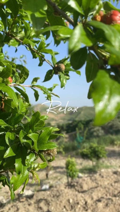 Holiday home Sicilia Casteltermini